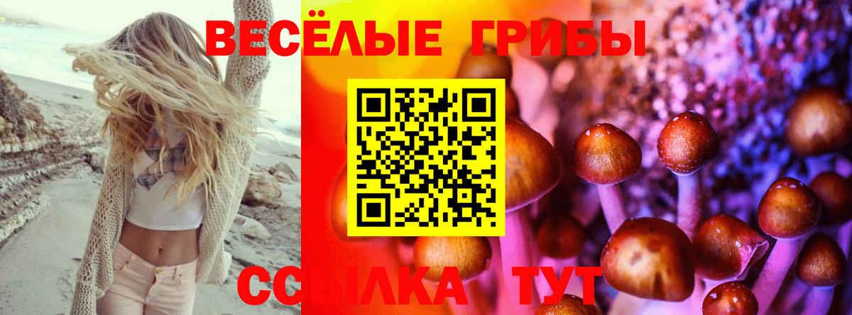 магазин    Вход с VPN  Самара  Псилоцибиновые грибы мухоморы 